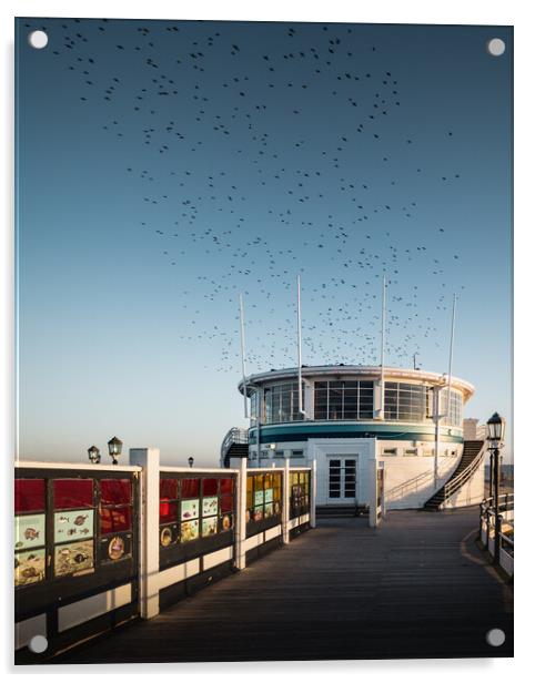 Starlings Over Worthing Pier Acrylic by Mark Jones