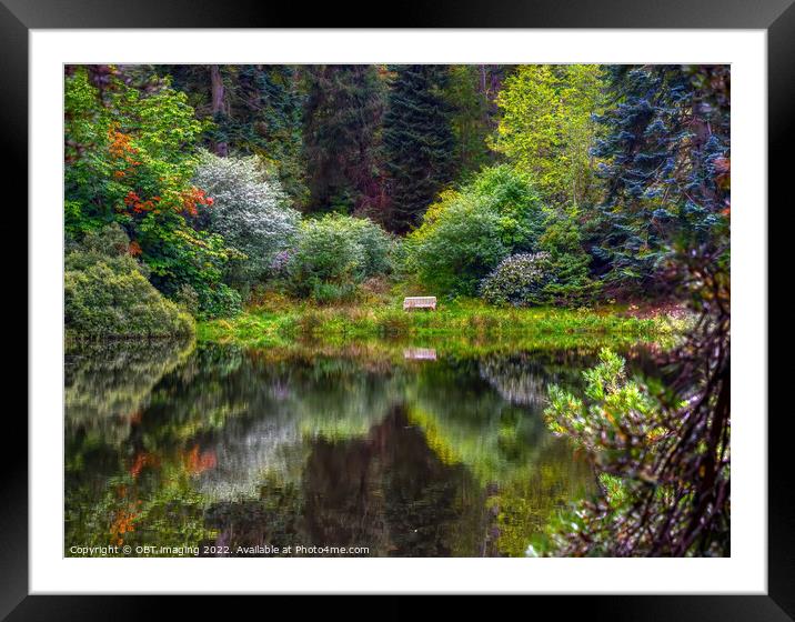 Tree and Lake Reflections Forest Bench  Framed Mounted Print by OBT imaging