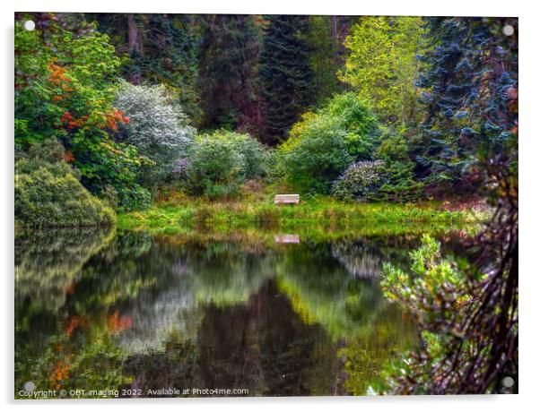 Tree and Lake Reflections Forest Bench  Acrylic by OBT imaging