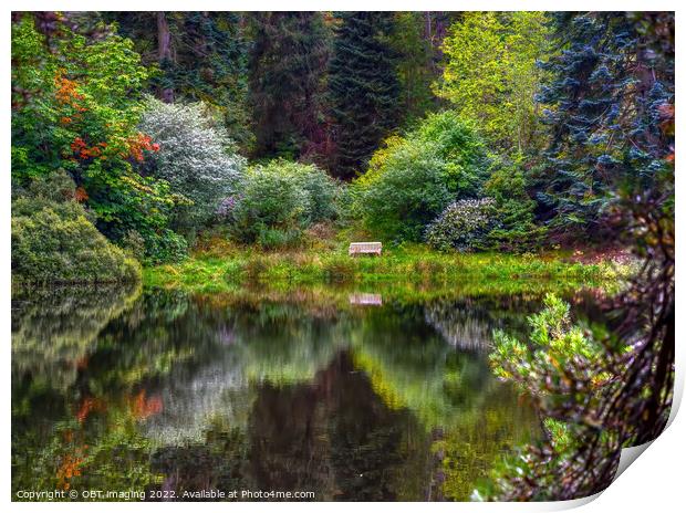 Tree and Lake Reflections Forest Bench  Print by OBT imaging