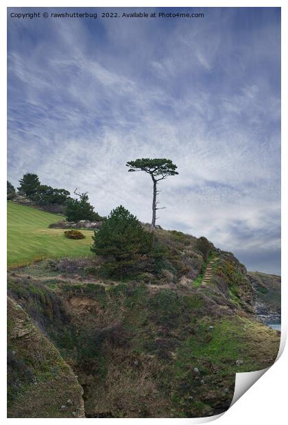 Single Tree At Thatcher Rock Print by rawshutterbug 