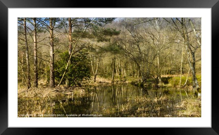 A pond surrounded by trees Framed Mounted Print by Alan Dunnett
