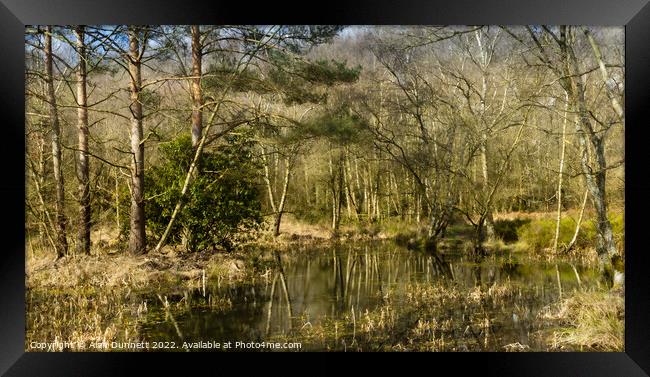 A pond surrounded by trees Framed Print by Alan Dunnett