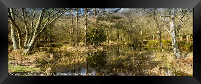 Winter Woodland Pond panoramic Framed Print by Alan Dunnett