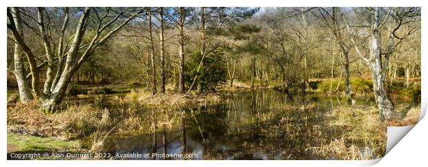 Winter Woodland Pond panoramic Print by Alan Dunnett