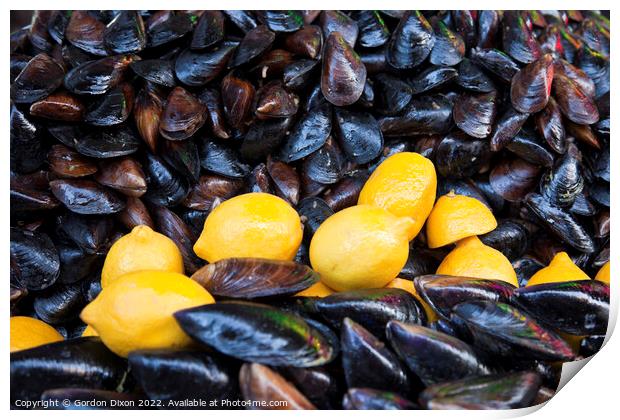 Fresh mussels and lemons for sale - Kocaeli, Turkey Print by Gordon Dixon