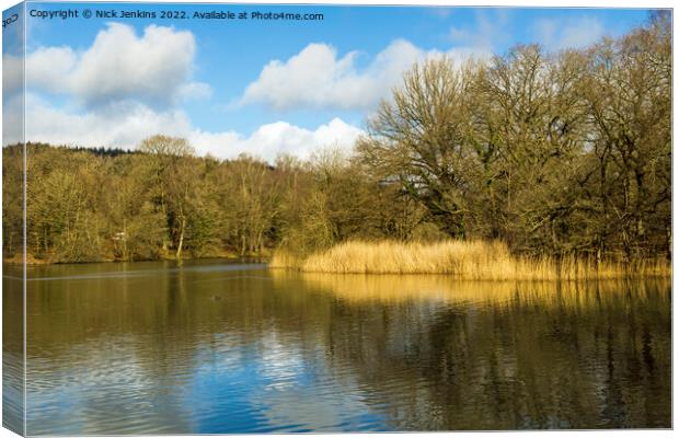 Cannop Ponds Forest of Dean Gloucestershire Canvas Print by Nick Jenkins