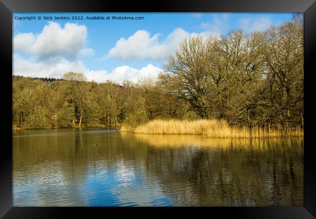 Cannop Ponds Forest of Dean Gloucestershire Framed Print by Nick Jenkins
