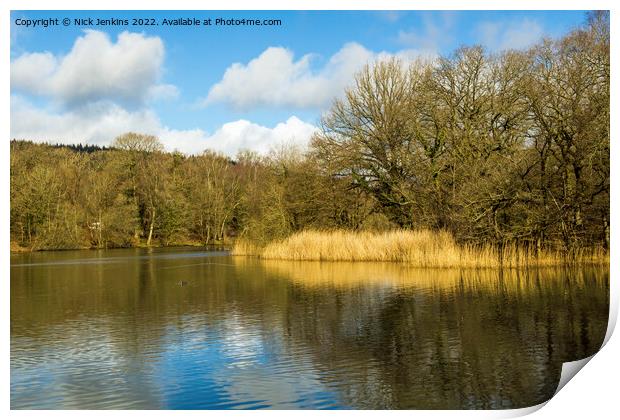 Cannop Ponds Forest of Dean Gloucestershire Print by Nick Jenkins