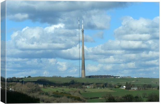 Emley Moor transmitters Canvas Print by Roy Hinchliffe
