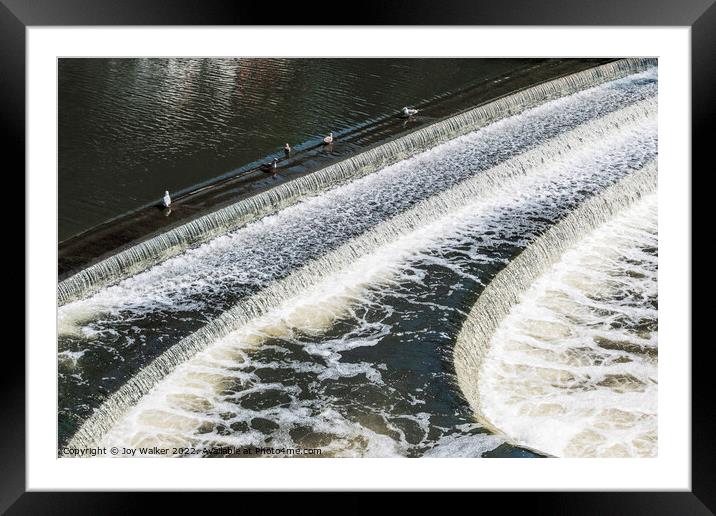 Bath Weir on the river Avon, Somerset, UK Framed Mounted Print by Joy Walker