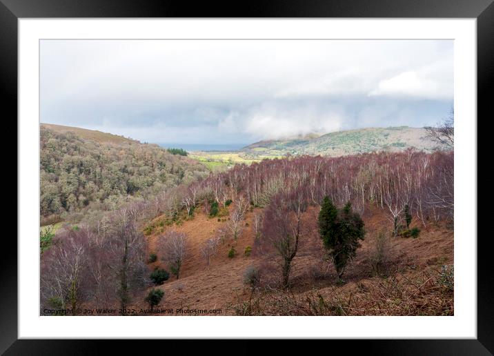 A view from Horner woods looking towards the sea, Somerset, UK Framed Mounted Print by Joy Walker