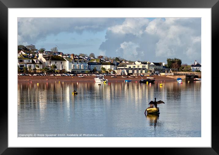 Early morning view of Shaldon  Framed Mounted Print by Rosie Spooner