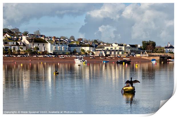 Early morning view of Shaldon  Print by Rosie Spooner