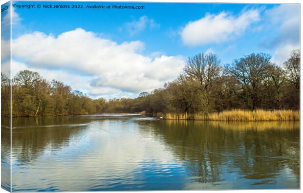 Cannop Pond Forest of Dean Gloucestershire Canvas Print by Nick Jenkins