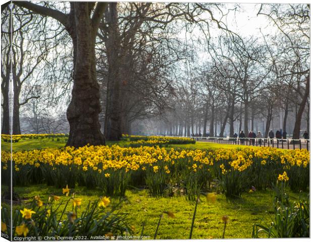 St. Jamess Park in London at Springtime Canvas Print by Chris Dorney