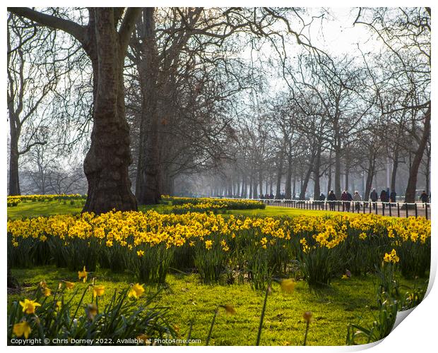 St. Jamess Park in London at Springtime Print by Chris Dorney