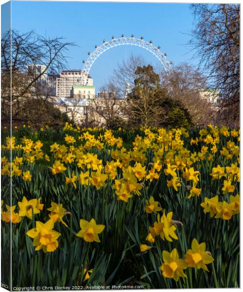 London Eye and Daffodils in London, at Sprintime Canvas Print by Chris Dorney