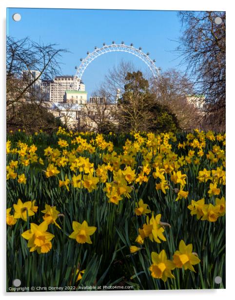 London Eye and Daffodils in London, at Sprintime Acrylic by Chris Dorney