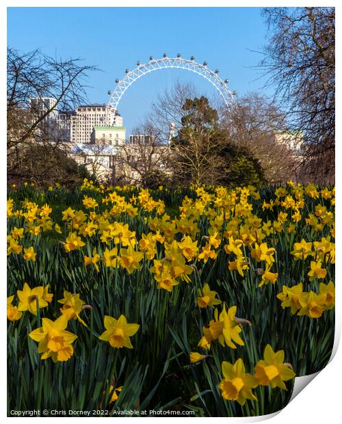 London Eye and Daffodils in London, at Sprintime Print by Chris Dorney
