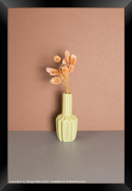 Vase of pink dry flower Framed Print by Sanga Park