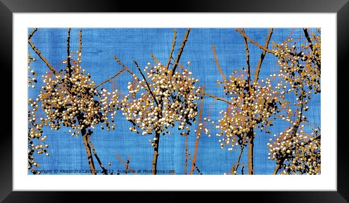 Little Clusters of Spring Framed Mounted Print by Alexandra Lavizzari