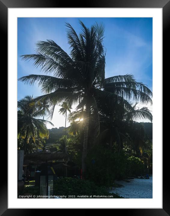 Redang Island Malaysia early morning sun rising behind a palm tr Framed Mounted Print by johnseanphotography 