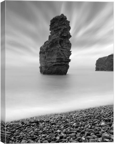 Ladram Sea Stack - Black and White Canvas Print by David Neighbour