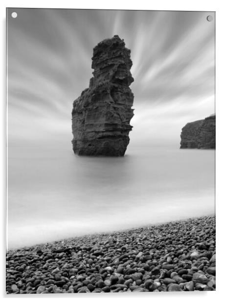 Ladram Sea Stack - Black and White Acrylic by David Neighbour