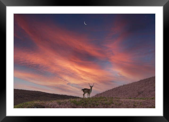 Deer at Dawn Framed Mounted Print by Bahadir Yeniceri