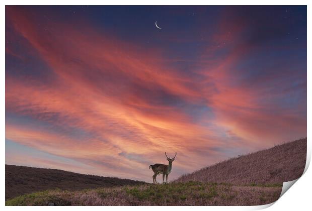 Deer at Dawn Print by Bahadir Yeniceri