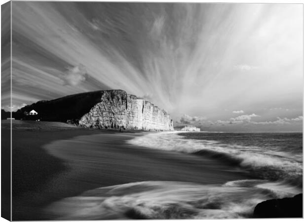 West Bay Sun and Shade - B&W Canvas Print by David Neighbour