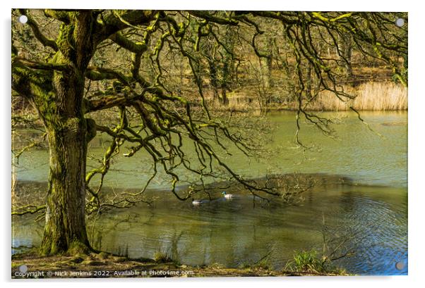 Oak Tree and Mallard Ducks Cannop Ponds Forest of  Acrylic by Nick Jenkins