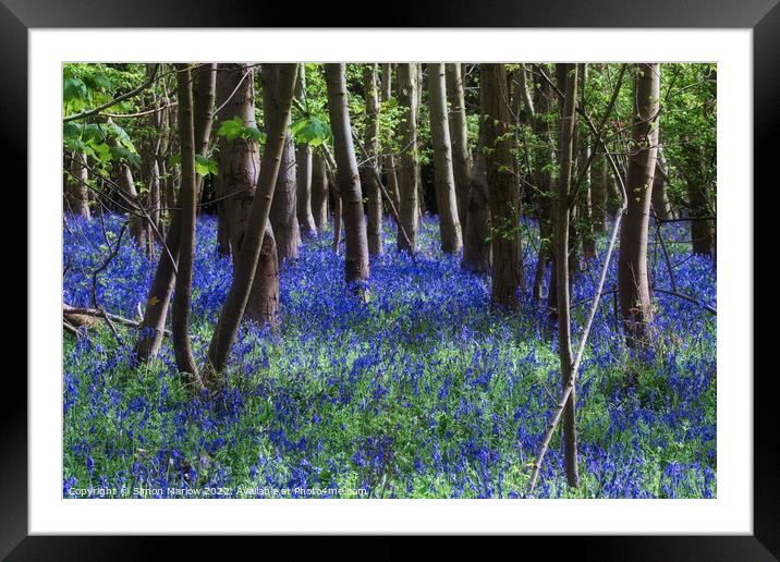 Enchanting Bluebell Delight Framed Mounted Print by Simon Marlow