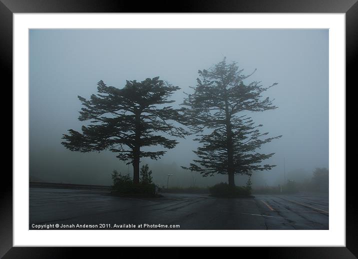 Misty morning musings Framed Mounted Print by Jonah Anderson Photography