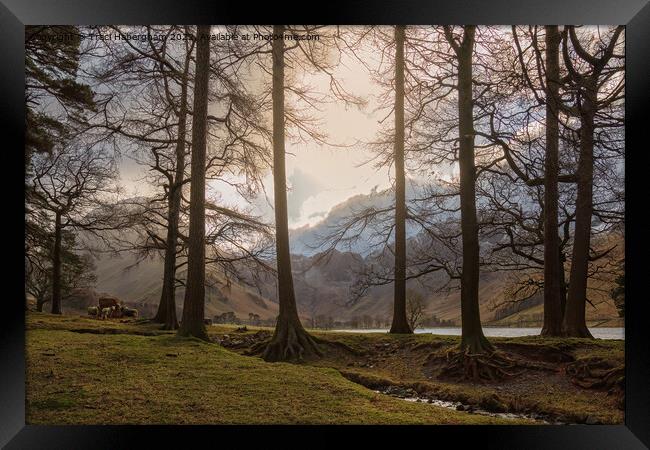 View to Buttermere Lake Framed Print by Traci Habergham