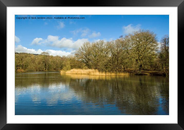 Cannop Ponds Forest of Dean Gloucestershire Framed Mounted Print by Nick Jenkins
