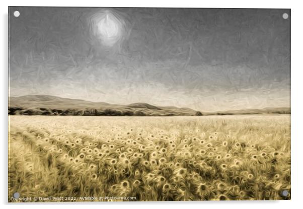 Sunflower Field Of Art Acrylic by David Pyatt