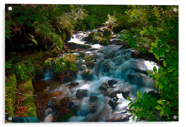 Serene Woodland Waterfall Acrylic by Stuart Jack