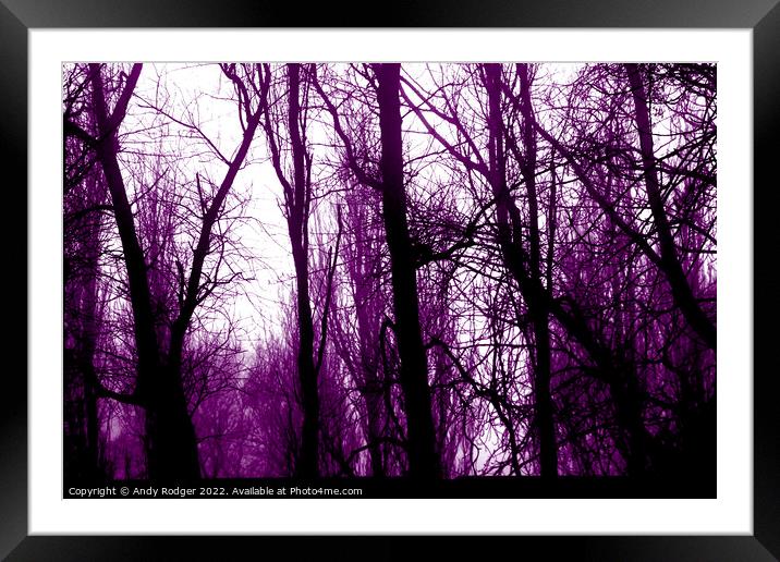 Tungsten Stark Trees Framed Mounted Print by Andy Rodger