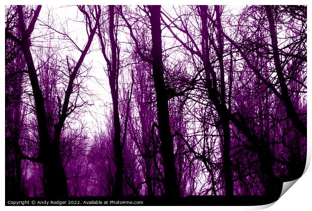 Tungsten Stark Trees Print by Andy Rodger