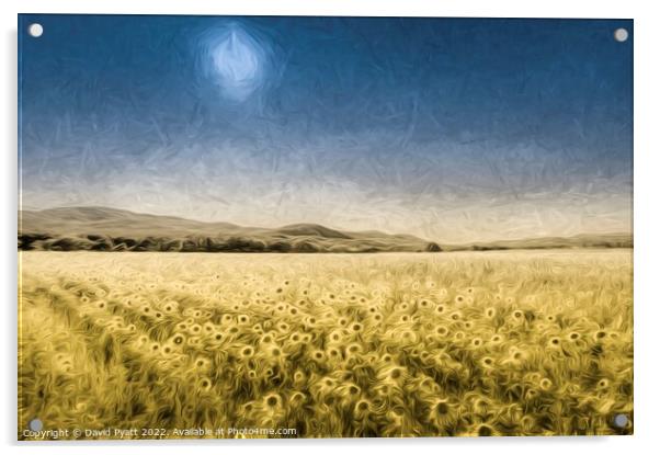 Sunflower Fields Of Art Acrylic by David Pyatt
