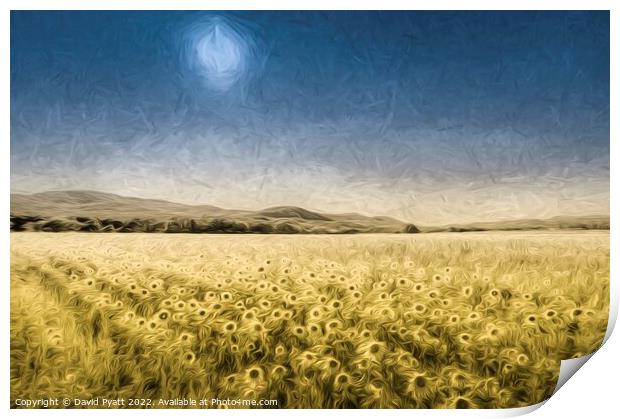 Sunflower Fields Of Art Print by David Pyatt