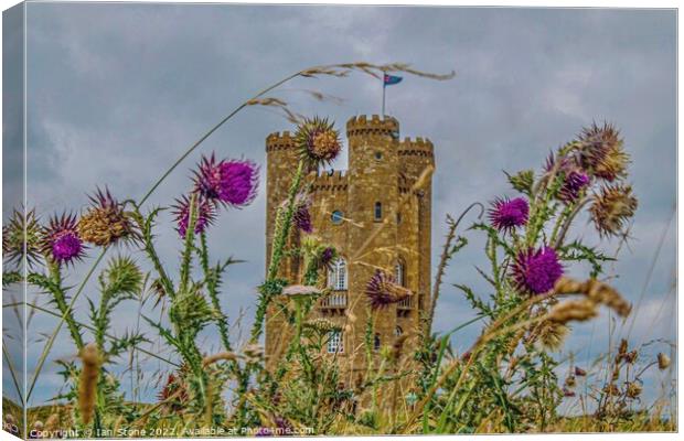 Majestic Beacon of the Cotswolds Canvas Print by Ian Stone