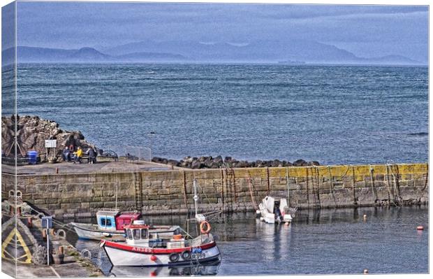 Dunure harbour berthed boats Canvas Print by Allan Durward Photography