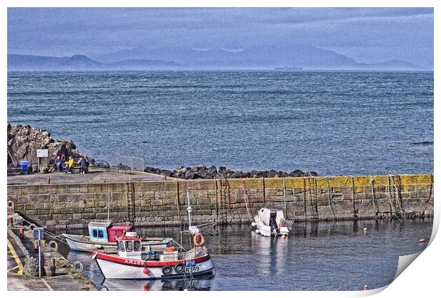 Dunure harbour berthed boats Print by Allan Durward Photography