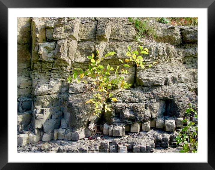 Eroding cliffs on along the Ottawa River, Ottawa, ON Framed Mounted Print by Stephanie Moore