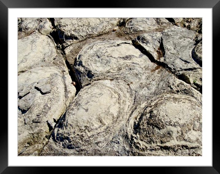 Stromatolite fossils  Framed Mounted Print by Stephanie Moore