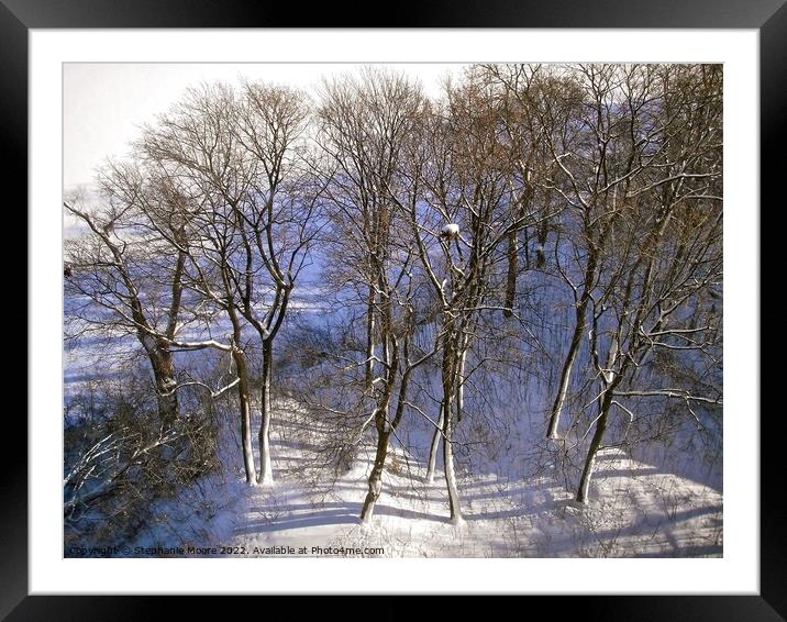 Winter trees Framed Mounted Print by Stephanie Moore