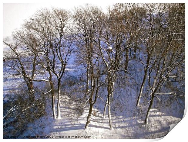 Winter trees Print by Stephanie Moore